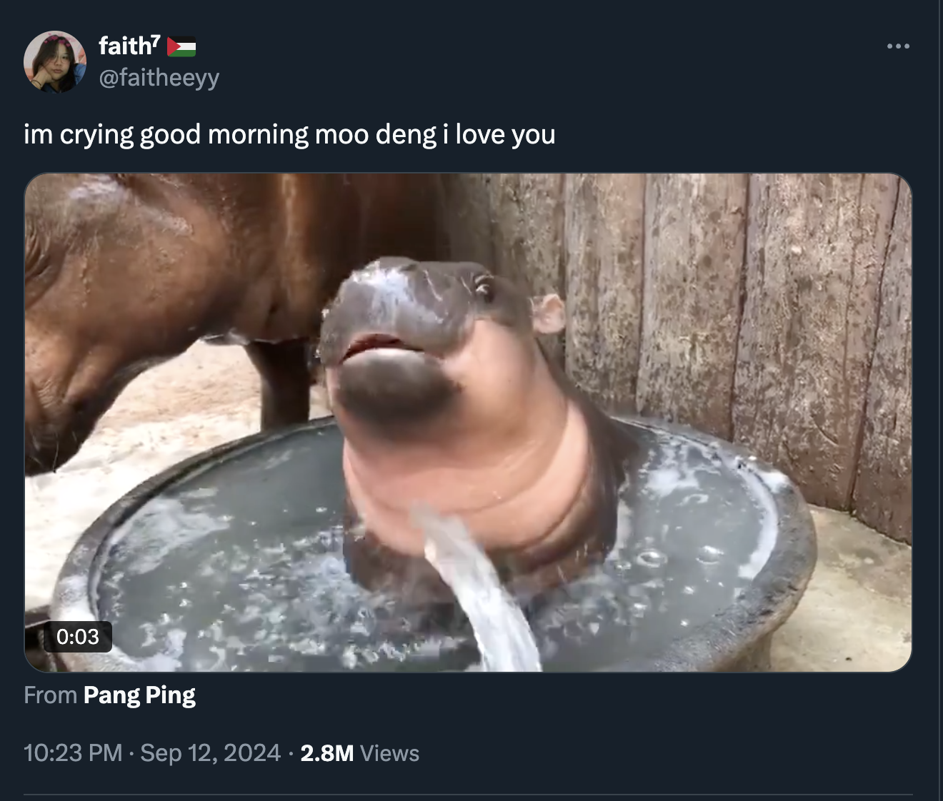 moo deng memes - hippopotamus - faith im crying good morning moo deng i love you From Pang Ping 2.8M Views